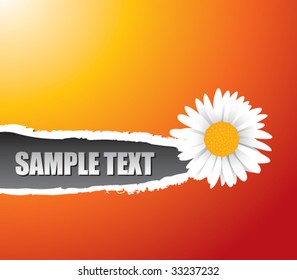 sunflower on ripped banner