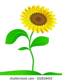 Sunflower on a stalk with leaves. Vector. EPS 8