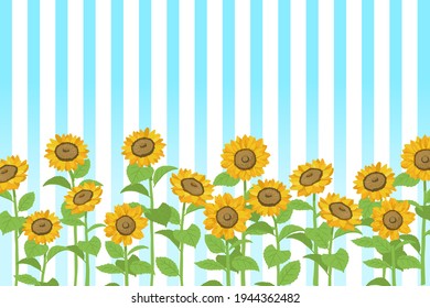 Sunflower on striped background vector illustration