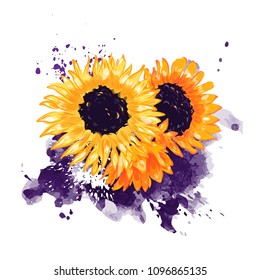 Sunflower on watercolor splash vector floral collage. Hand drawn flowers graphic illustration for botanical greeting card design, summer banners, invitations.