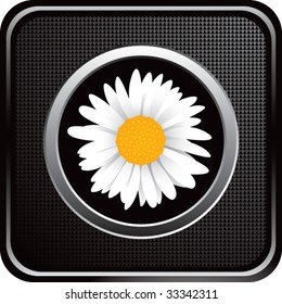 sunflower on web button