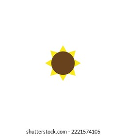 Girasol sobre fondo blanco