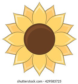 Sunflower on white background.