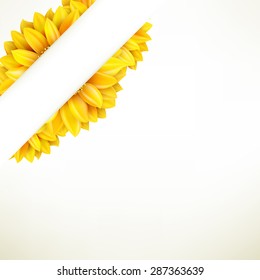 Sunflower on white background. EPS 10 vector file included