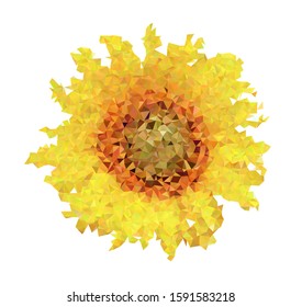 Sunflower on white. Vector polygon illustration