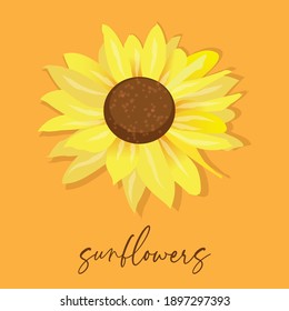 sunflower on a yellow background