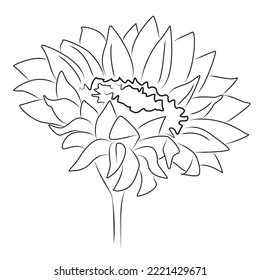 
Sunflower one line art. 
Black contour drawing on a white background Minimalist sun flower.