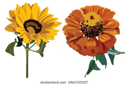 Sunflower and one orange flower isolated on a white background.