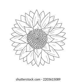 Sunflower outline, black and white vector illustration