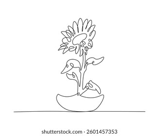 Sunflower outline drawing illustration. one continuous line drawing of sun flower.