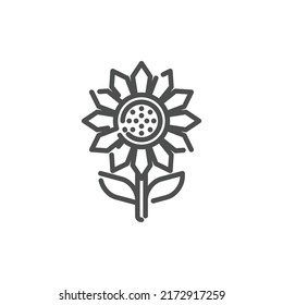 Sunflower Outline Icon - Summer Season Icon Vector Illustration