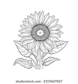 Sunflower Outline, Sunflower Line Art,  Drawing, black and white sunflowers vector illustration