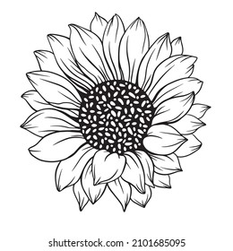 Sunflower Outline  Sunflower Line Art  Floral Line Drawing  black   white sunflowers vector illustration