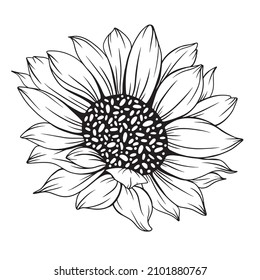 Sunflower Outline, Sunflower Line Art, Floral Line Drawing, black and white sunflowers vector illustration