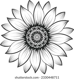 Sunflower Outline, Sunflower Line Art, Floral Line Drawing, black and white sunflowers vector illustration