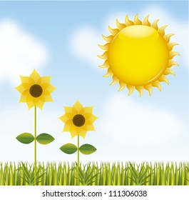 sunflower over landscape with sun. vector illustration