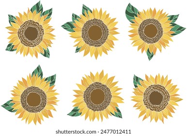 Pintura de girasol. Ilustración vectorial dibujada a mano. Fondo blanco.	