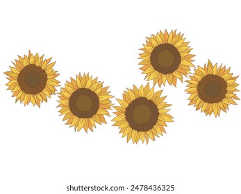 Sunflower painting. Hand-drawn vector illustration. White background.