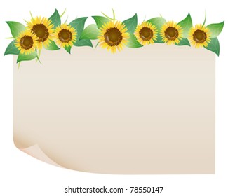sunflower paper