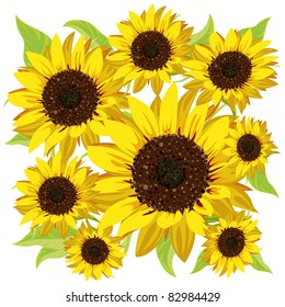 sunflower pattern