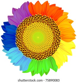 Sunflower with petals of different colors of the rainbow.