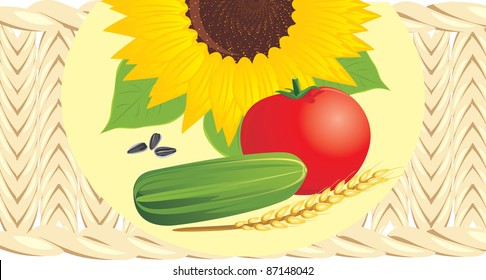 Sunflower with pips, tomato, cucumber and wheat ear on the wattled napkin. Vector
