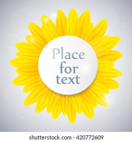 Sunflower with place for text on grey background. Vector illustration