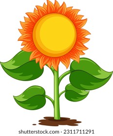 Sunflower plant cartoon isolated illustration