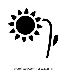 sunflower plant glyph icon vector. sunflower plant sign. isolated contour symbol black illustration
