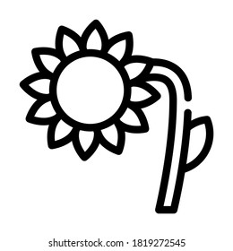 sunflower plant line icon vector. sunflower plant sign. isolated contour symbol black illustration