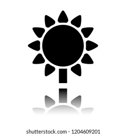 Sunflower, plant. Nature icon. Black icon with mirror reflection on white background