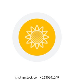 Sunflower, plant. Nature icon. Icon in colored circle with gray bold border. Web button, modern flat design