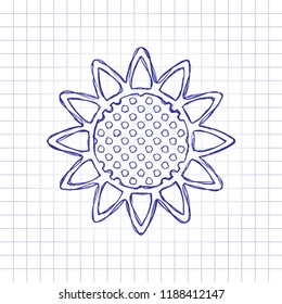 Sunflower, plant. Nature icon. Hand drawn picture on paper sheet. Blue ink, outline sketch style. Doodle on checkered background