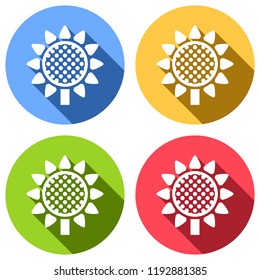 Sunflower, plant. Nature icon. Set of white icons with long shadow on blue, orange, green and red colored circles. Sticker style