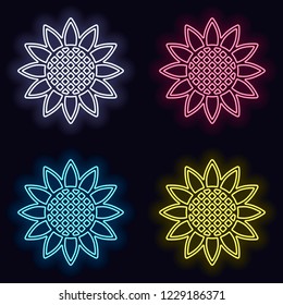 Sunflower, plant. Nature icon. Set of neon sign. Casino style on dark background. Seamless pattern