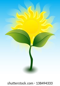 Sunflower plant on a background of blue sky