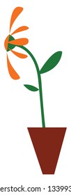 A sunflower plant in a pot is facing towards the sun vector color drawing or illustration 