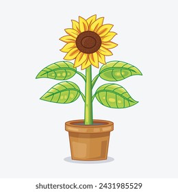 Sunflower plant in pot vector illustration