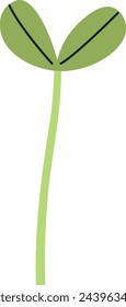 Sunflower Plant Sprout Vector Illustration