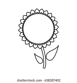 sunflower plant stem natural garden outline