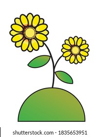 Sunflower plat design. flower vector collections