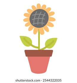 Sunflower in a pot isolated on a white background