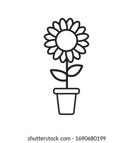sunflower in a pot line icon vector simple design