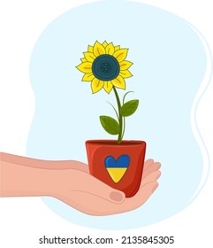 Sunflower in a pot. Symbol of Ukraine and heart.