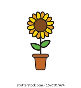 sunflower in pot vector simple design