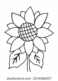 sunflower printable colouring page illustration with isolated white background