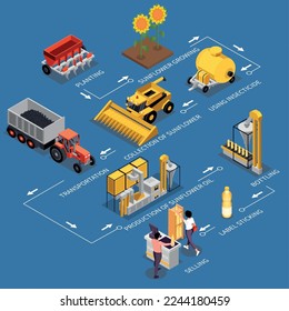 Sunflower production isometric composition with set of isolated agricultural machinery units plants ready products and text vector illustration