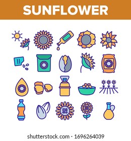 Sunflower Products Collection Icons Set Vector. Sunflower Oil And Seeds, Agricultural Herbal Flower And Sun, Bottle And Bag Concept Linear Pictograms. Color Illustrations