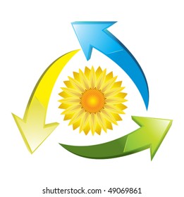 sunflower recycle