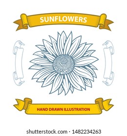 Sunflower and ribbons hand drawing sketch vector illustrations set. Part of set.